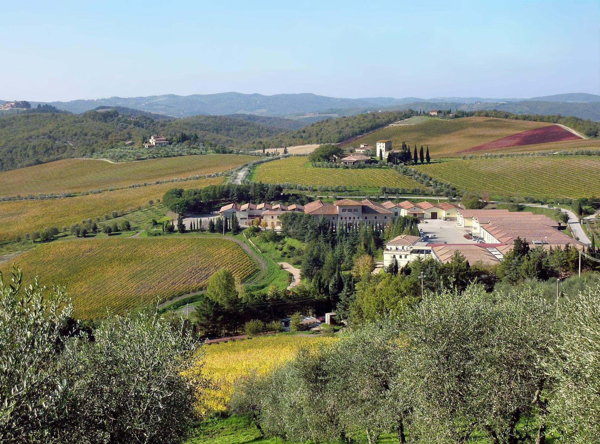 Wine Country